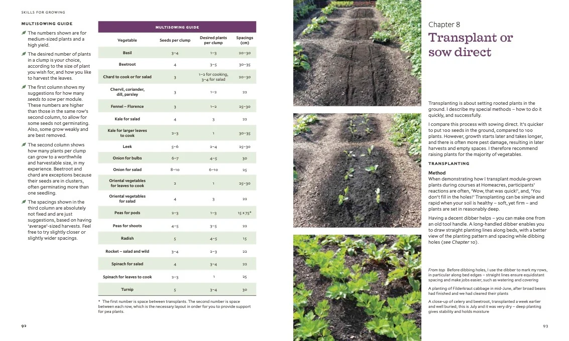 Charles Dowding's Skills For Growing: Sowing, Spacing, Planting, Picking, Watering and More - Image 4