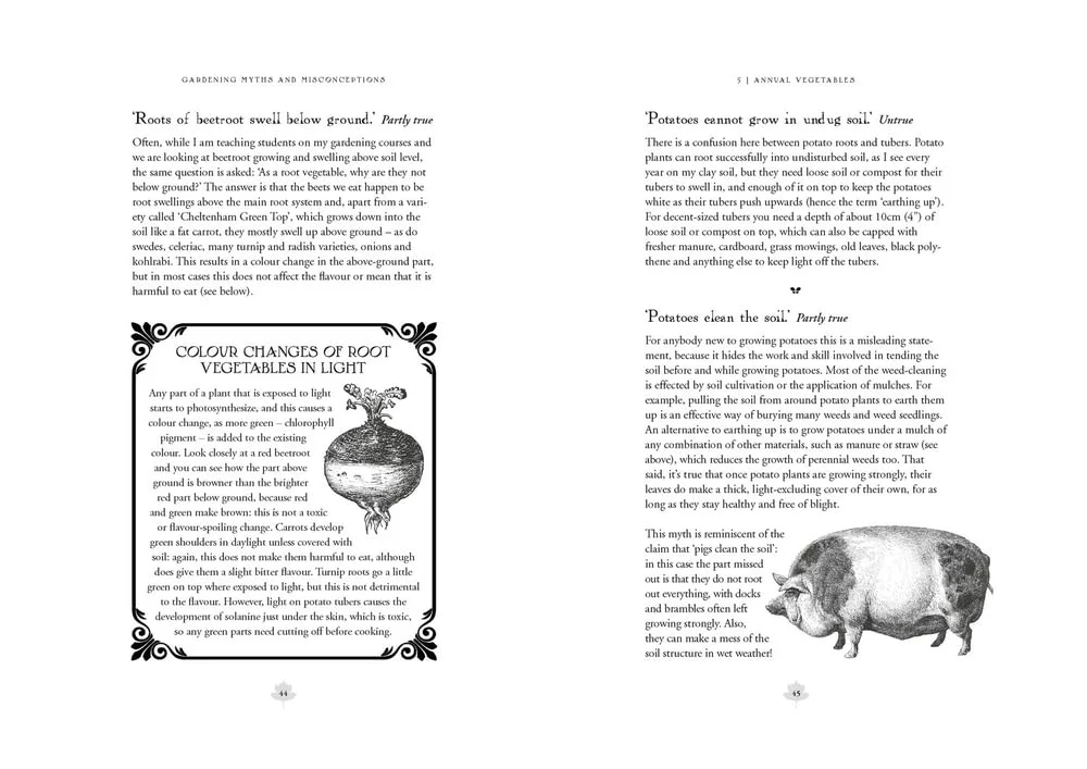 Gardening Myths and Misconceptions: A No-Nonsense Guide to Common Beliefs - Image 5
