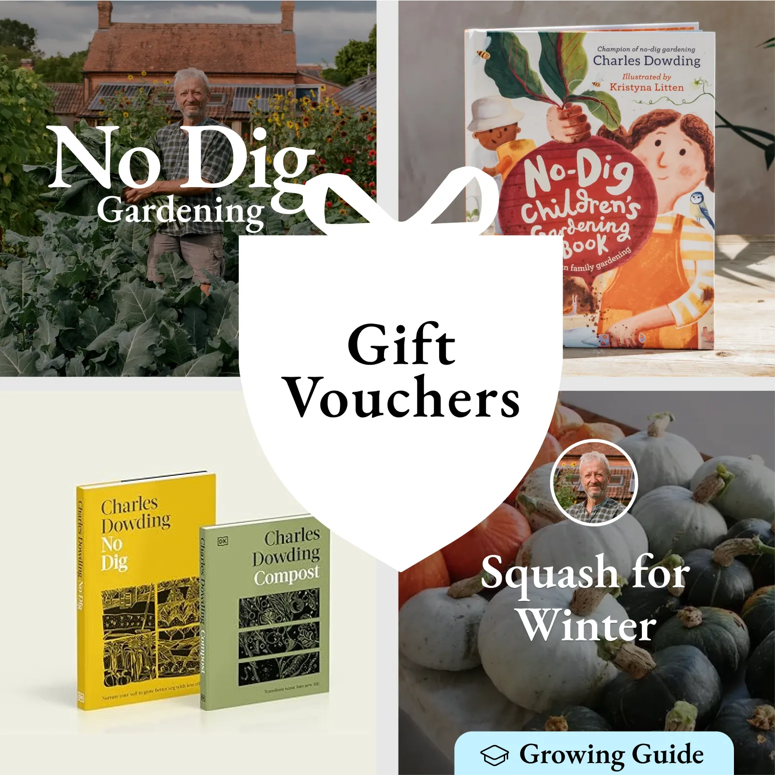 Gift vouchers - various denominations