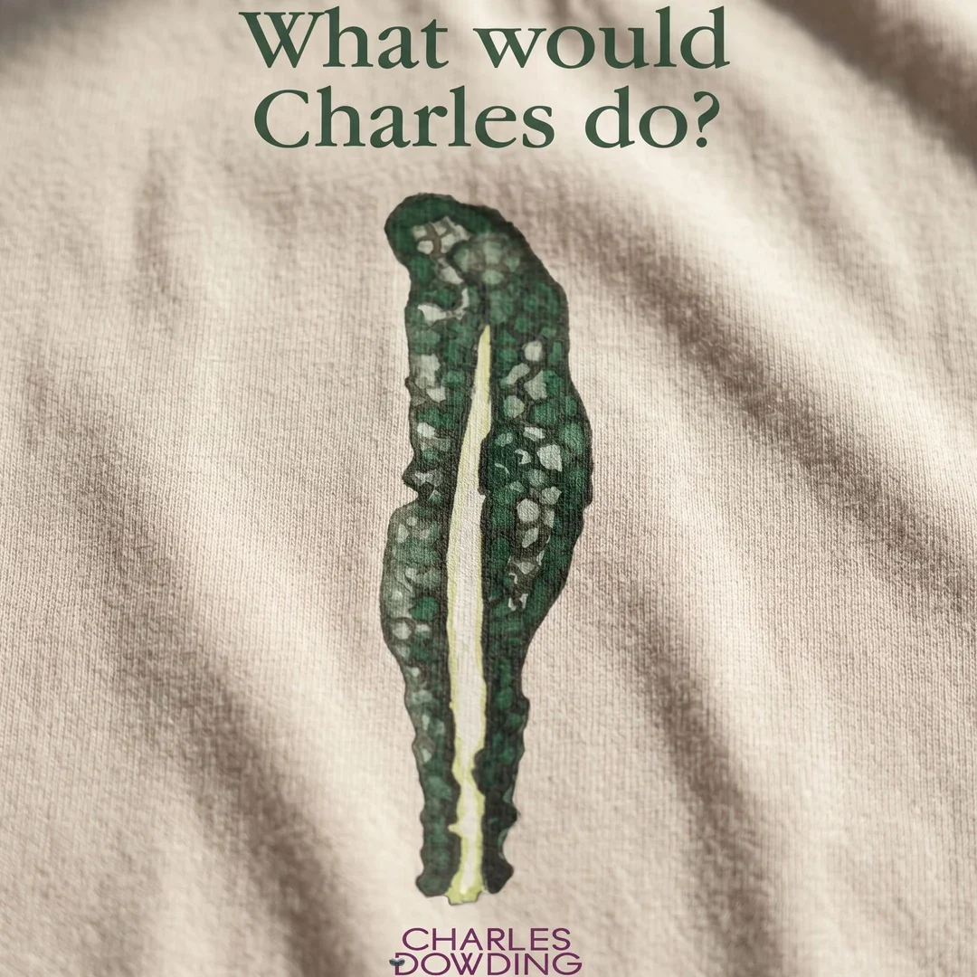 No Dig Kale 'What would Charles do?' Women's T-shirt - Image 2