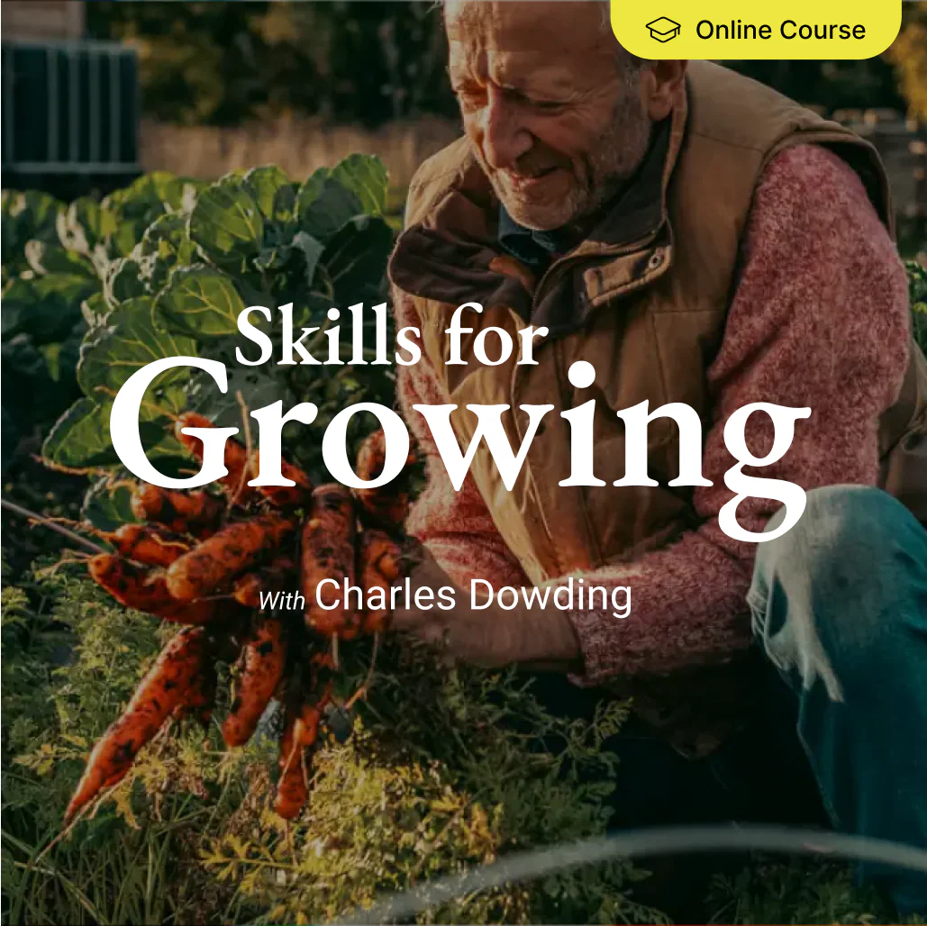 3-course bundle + free digital Sowing Calendar - Image 3