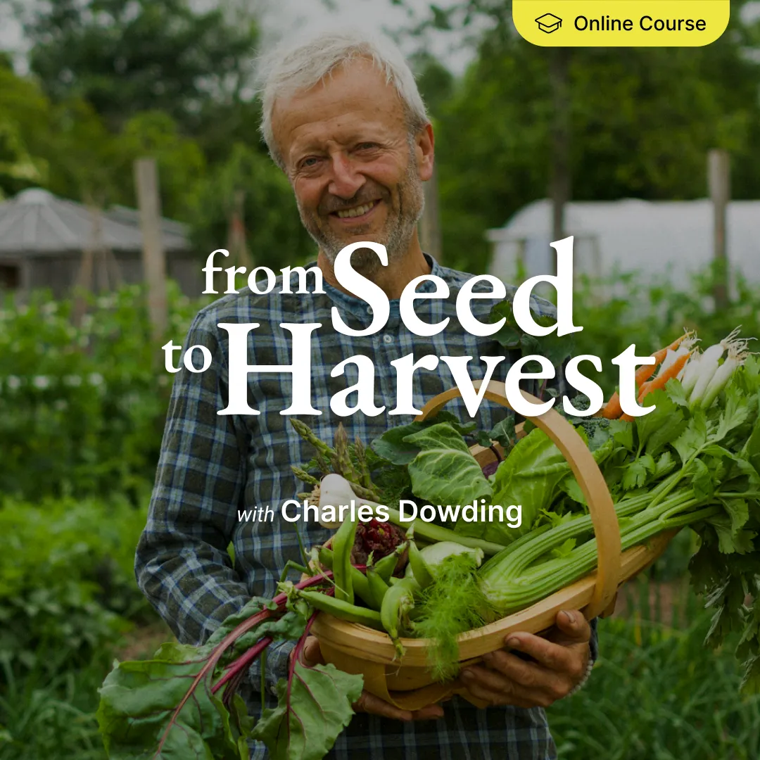 3-course bundle + free digital Sowing Calendar - Image 4