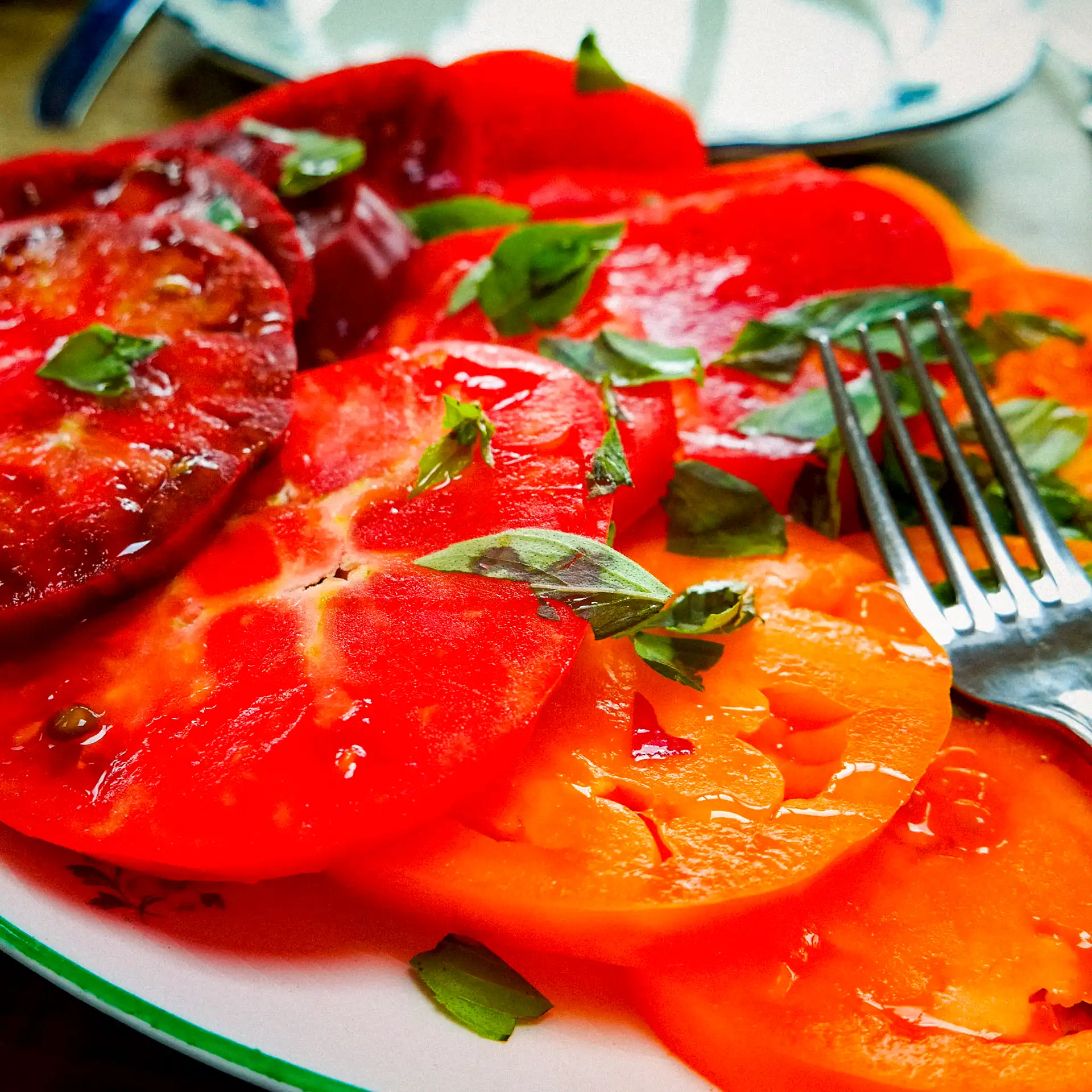 Tomatoes Growing Guide